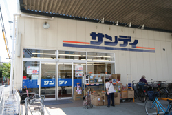 サンディ